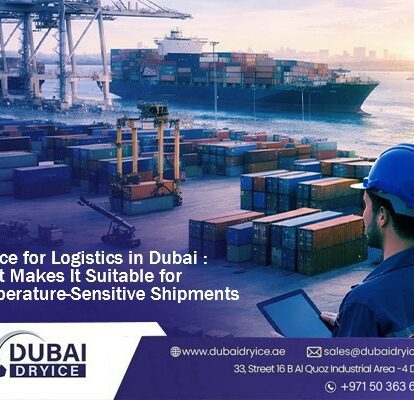 Dry ice for logistics Dubai showing a logistics manager overseeing temperature sensitive shipments at a UAE port with cargo containers and freight vessels.