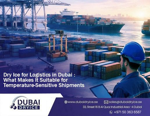 Dry ice for logistics Dubai showing a logistics manager overseeing temperature sensitive shipments at a UAE port with cargo containers and freight vessels.